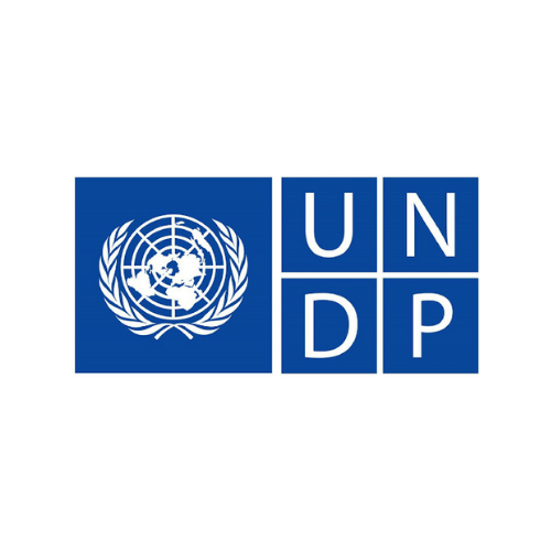 United Nations Development Programme (UNDP)